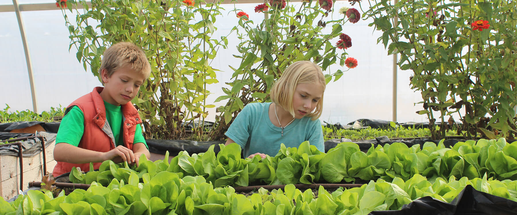 Ada Christian Integrated Outdoor Education Growing in the Greenhouse